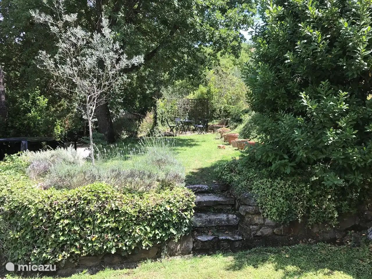 Een grote tuin met veel privacy en schaduw