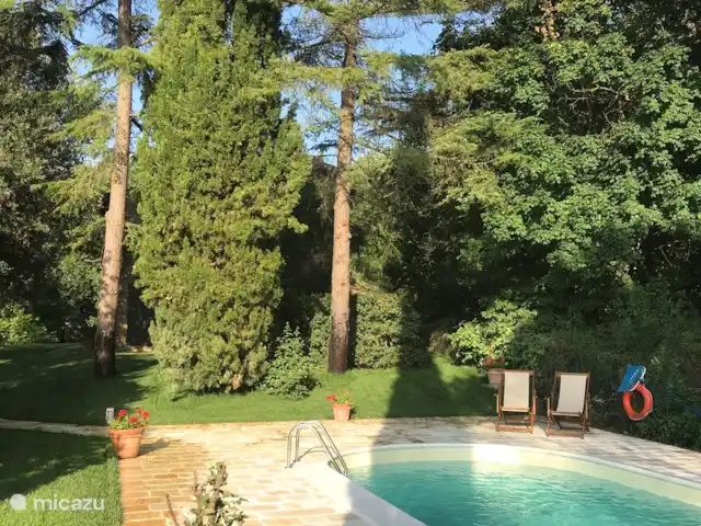 Casa delle Fragole | Italie, Toscane, Cortona - villa Un joli jardin ombragé avec beaucoup de calme et d'intimité