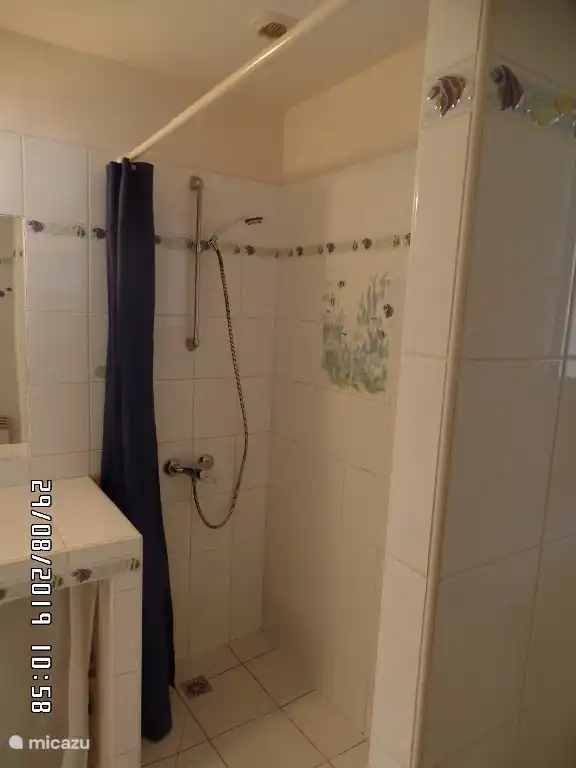 Binnenaanzicht van badkamer en douche