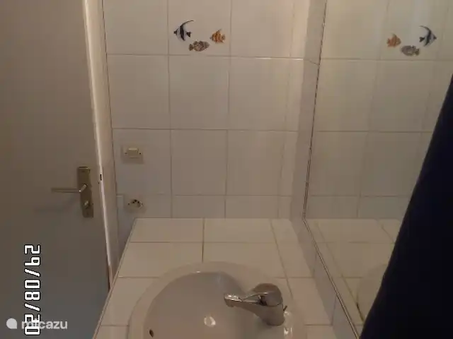 Maison Lavande | France, Vendée, La Tranche-sur-Mer - maison de vacances Vue intérieure de la salle de bain et de la douche