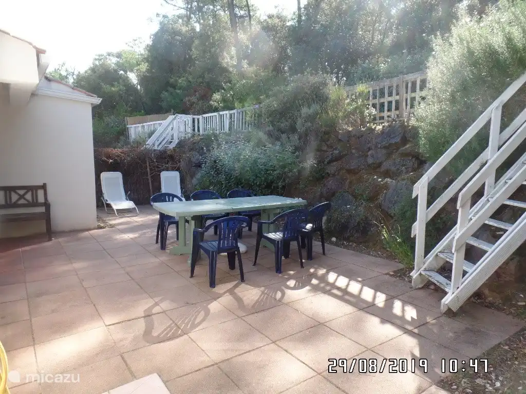 Ons huis ligt op een helling die leidt naar het dennenbos.
Hierdoor waan je je in de achtertuin in een beschermde vallei, omringd door bomen en lucht.