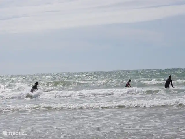 Maison Lavande | France, Vendée, La Tranche-sur-Mer - maison de vacances Beaucoup de nos clients ont commencé à apprendre à surfer ici. Pour certains d'entre eux, ce n'était que le début, suivi de nombreuses années de plaisir, de formation de professeur de surf et de voyages sur de plus grosses vagues. Les moniteurs de surf qui enseignent ici savent vraiment ce qu'ils font !