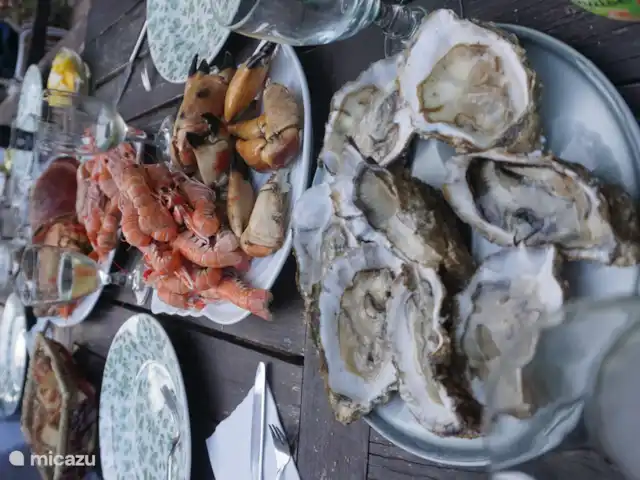 Maison Lavande | France, Vendée, La Tranche-sur-Mer - maison de vacances Devant le rayon poisson frais du supermarché La Tranche, vous n'avez que l'embarras du choix ! Il est facile d'entrer dans des problèmes de décision ici. Amenez vos enfants et laissez-les admirer de près les différents poissons scintillants !