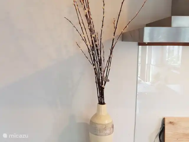 Location de Vacances Pays-Bas, Hollande du Nord, Schoorl, maison de vacances - Ecole Ecolodge de Parel Cuisine avec cuisinière électrique, argile avec papier peint nacre et jonc de mer.