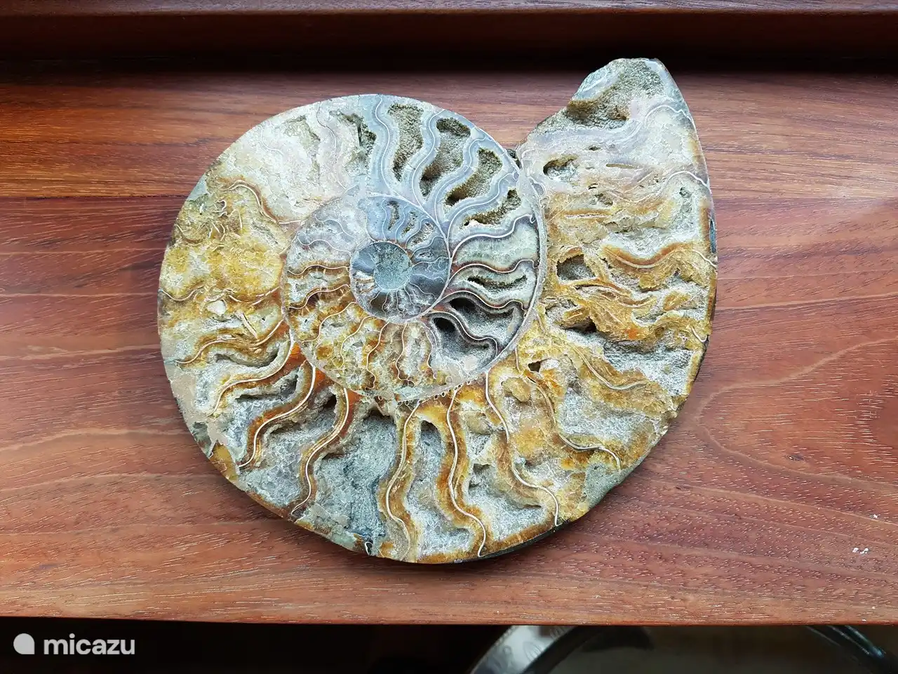 Stenen uit de edelsteenwinkel Fossus uit Schoorl.