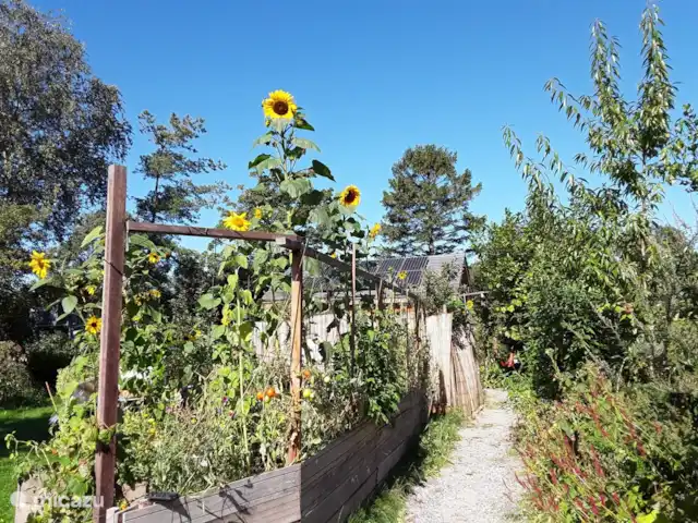 Location de Vacances Pays-Bas, Hollande du Nord, Schoorl, maison de vacances - Ecole Ecolodge de Parel Entrée de l'écolodge
