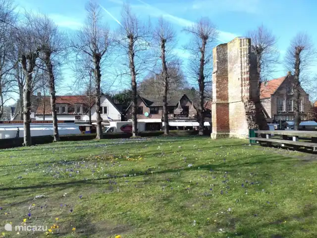 Location de Vacances Pays-Bas, Hollande du Nord, Schoorl, maison de vacances - Ecole Ecolodge de Parel Le marché du samedi à Bergen à la Ruïnekerk. Il y a de nombreux restaurants et cafés autour de l'église. Il est également merveilleux de faire ses courses ou de faire ses emplettes à Bergen.