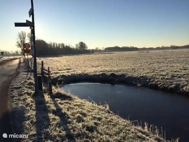 Dit is onze straat. Het bijzondere aan onze omgeving is dat er binnen 5 minuten zowel bos, duinen als weilanden zijn. Binnen het duingebied is er loofbos, dennenbos en prachtige heide en stuifduinen. 