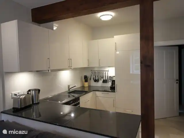 Felsenkeller Bilatal Rosengarten en Alemania, Sajonia, Rosenthal-Bielatal - apartamento La cocina