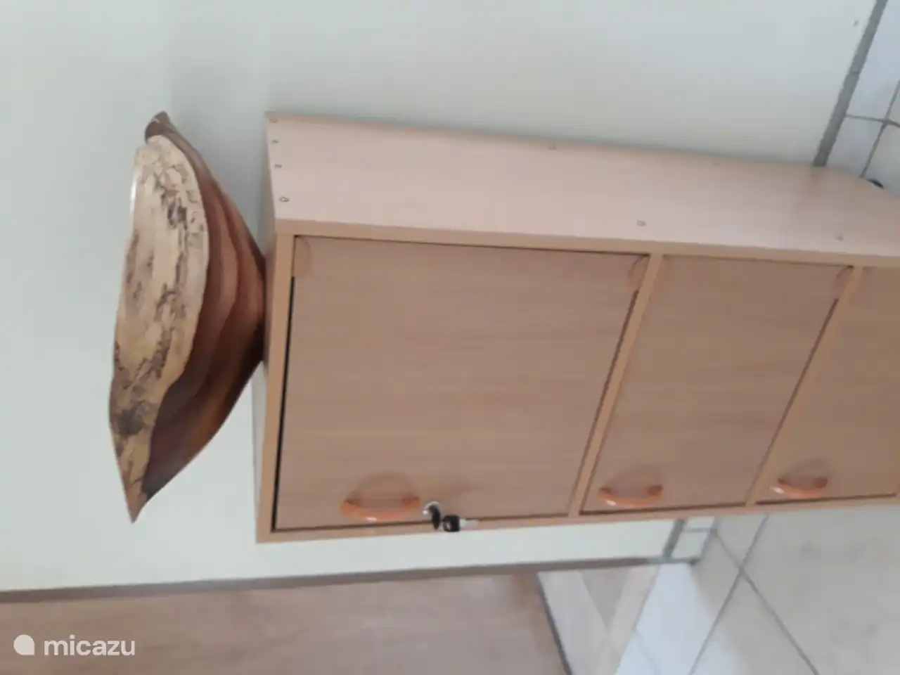 Art of Wood from Surinamese orgine.