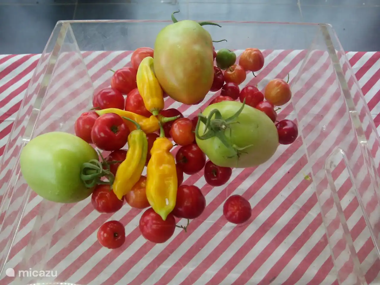 Beautiful fruits and vegetables that all grow on the yard and plot.