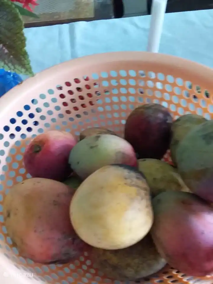 You will not find this at the house, but at the authentic Sunday market on the INDIRA Gandhiweg.