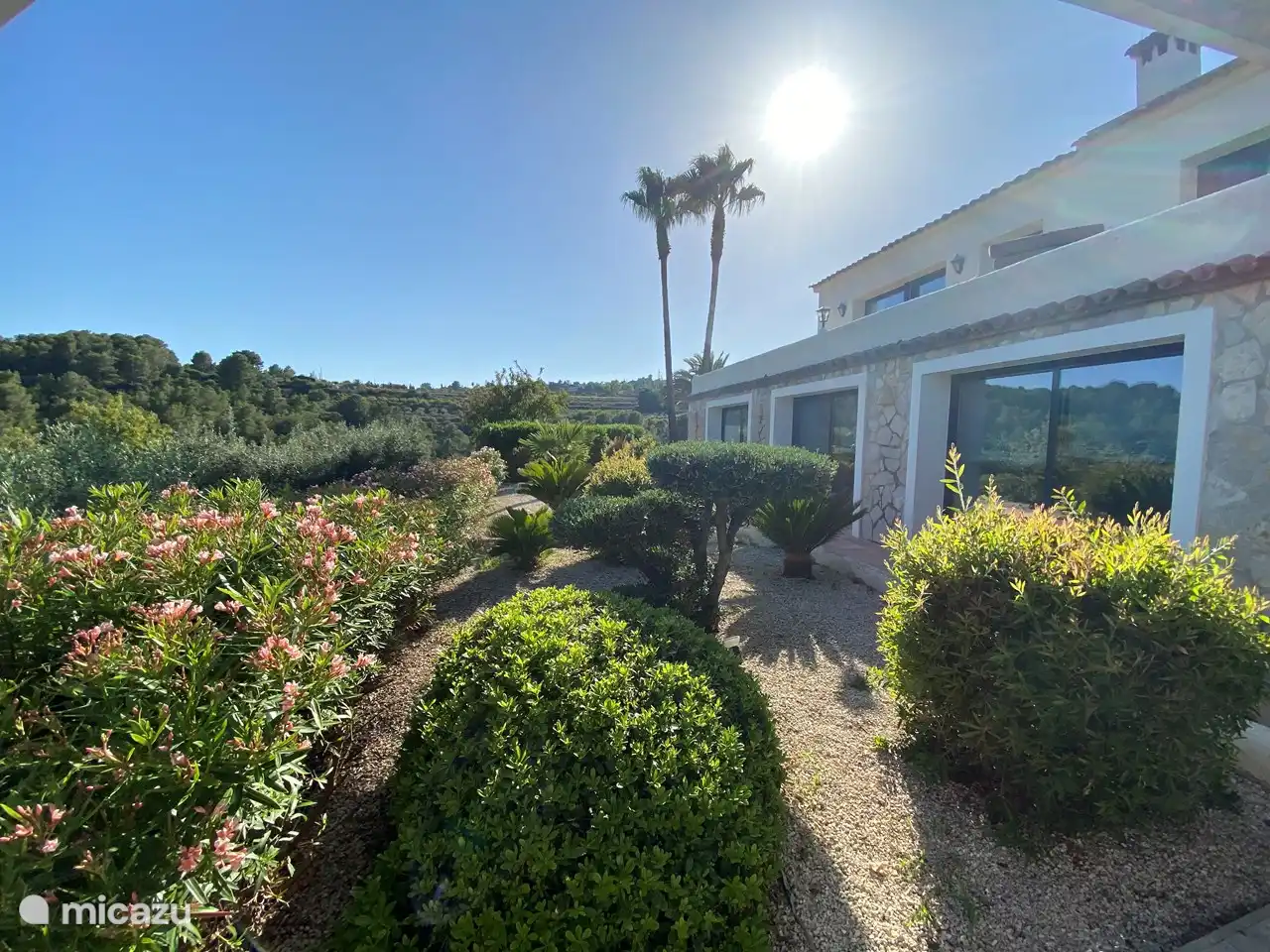 Vue du jardin au coucher du soleil