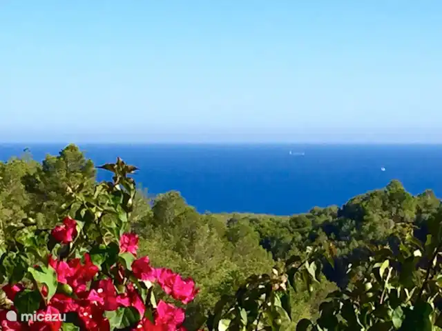 Villa Mimosa : Zeezicht & Natuur huren in Spanje, Costa Blanca, Benissa - villa Zicht vanop het terras