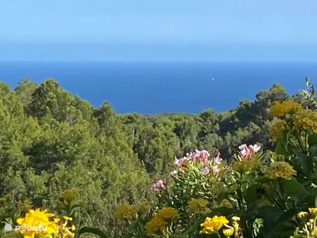 Villa Mimosa : Zeezicht & Natuur huren in Spanje, Costa Blanca, Benissa - villa Zich vanop het terras
