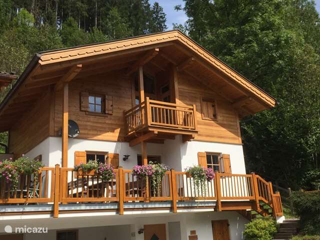 Holiday home in Austria, Salzburgerland, Neukirchen Am Grossvenediger - chalet Chalet Waldblick