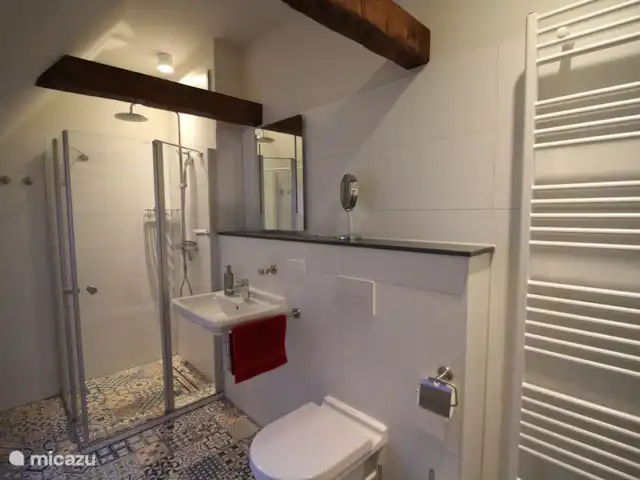 Felsenkeller Bielatal Berthablick | Allemagne, Saxe, Rosenthal-Bielatal - appartement La première salle de bain