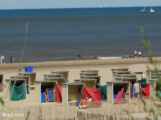 Location de Vacances Pays-Bas, Hollande méridionale, Katwijk, appartement - Beachhouse Anna parking privé ! Plage à 1 minute à pied, avec les maisons de plage caractéristiques