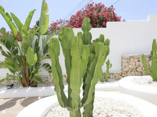 Villa Amigi en España, Costa Blanca, Moraira - villa Jardín