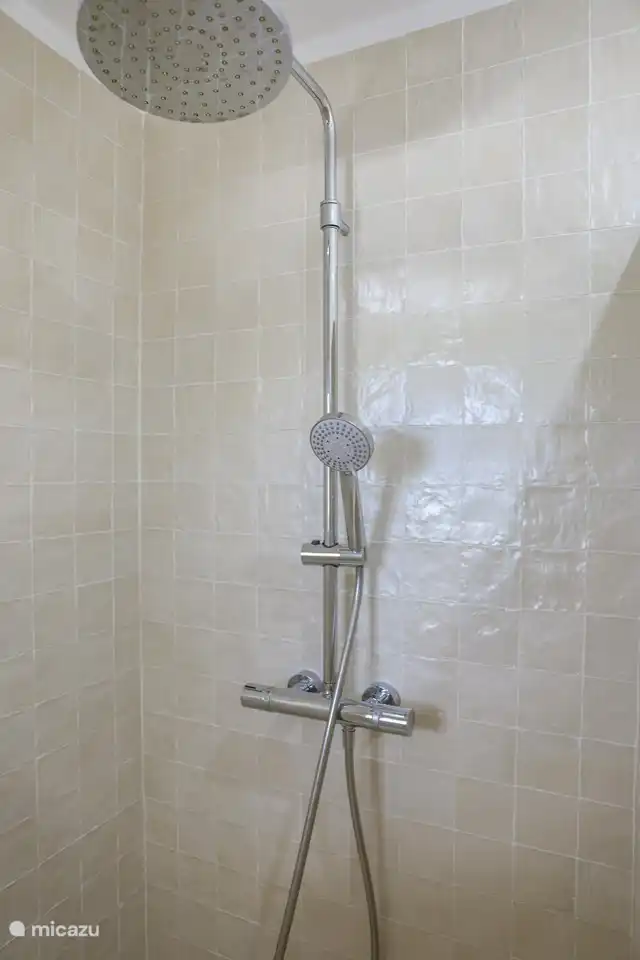 Douche à l'italienne spacieuse avec douche à effet pluie et douchette de haute qualité.