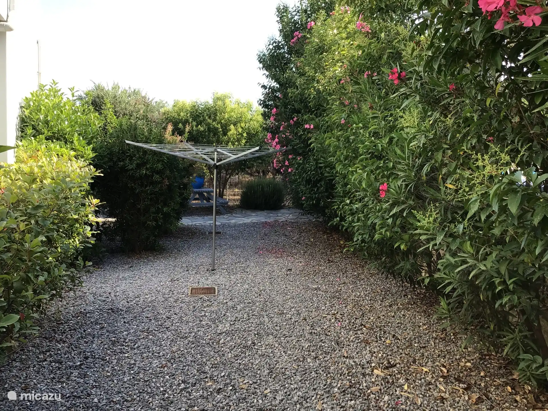 Side garden seen from the large olive tree to the bbq.