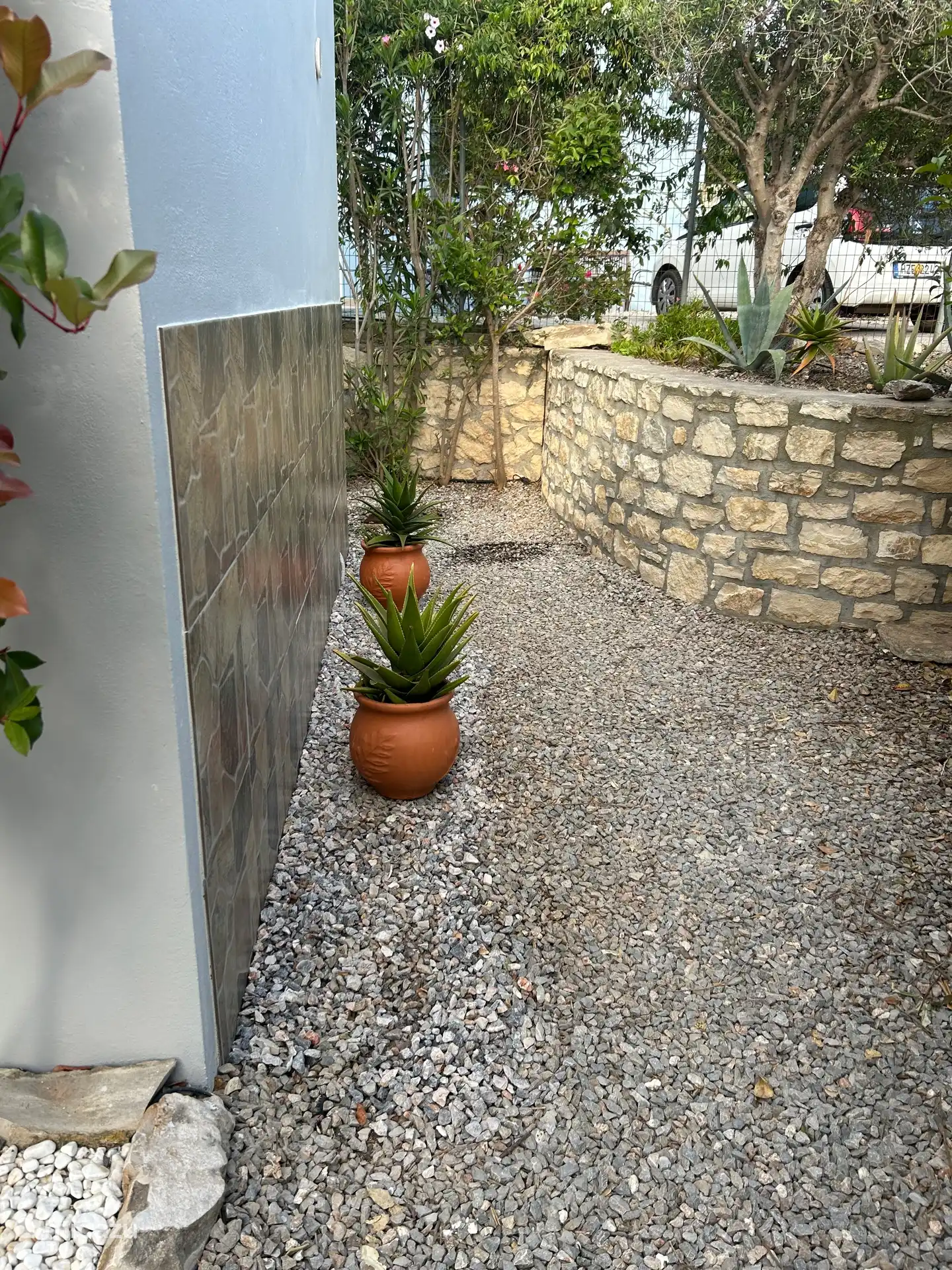 Zicht vanaf de voordeur naar de plantenbak met de olijfboom.