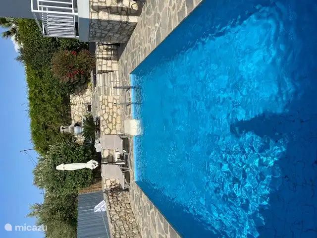 Swimming pool overlooking the side garden with BBQ and picnic table