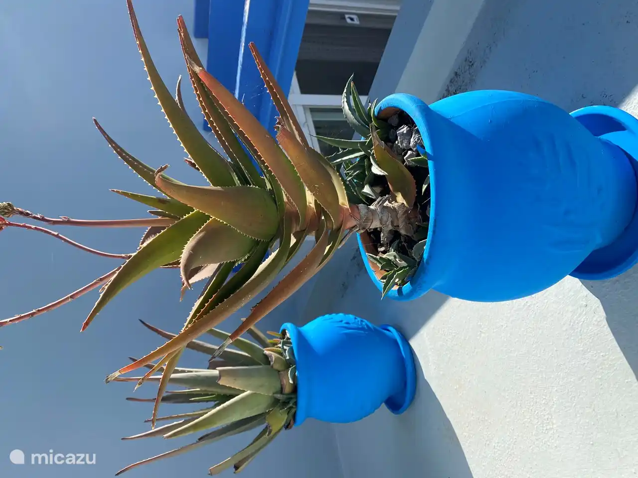 Cretan blue pots on the roof with aloe vera