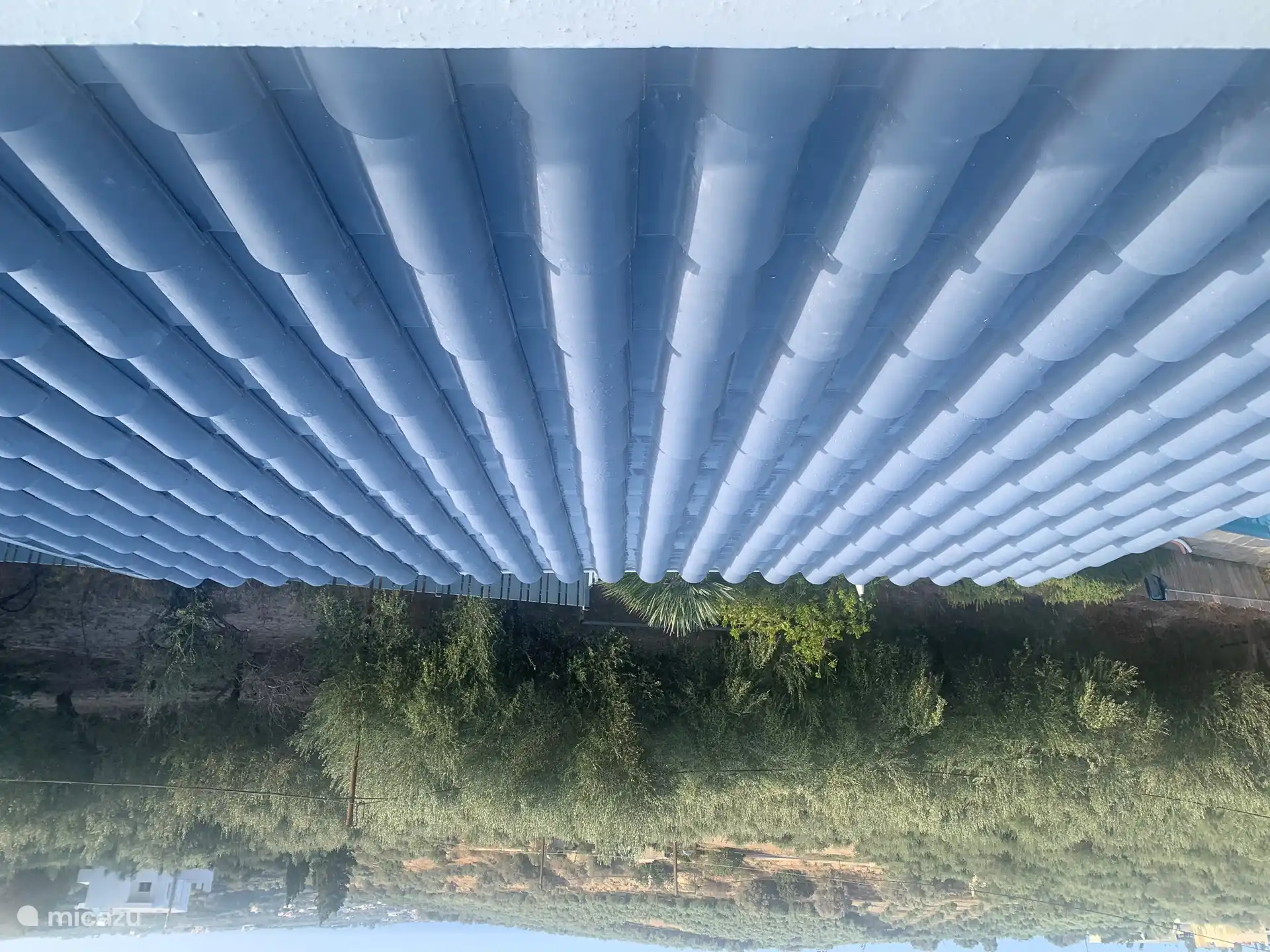 View from the roof terrace over the olive trees and the sea.