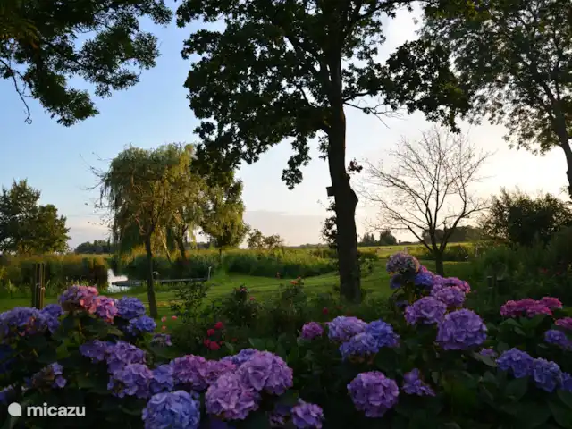 Vue dégagée | Pays-Bas, Frise, Warten - maison de vacances Jardin