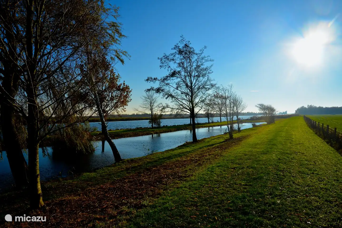 Swimming pond in winter