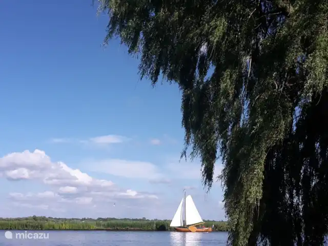 Vue dégagée | Pays-Bas, Frise, Warten - maison de vacances Canal de la princesse Margaret
