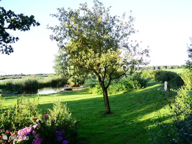 Vue dégagée | Pays-Bas, Frise, Warten - maison de vacances Jardin