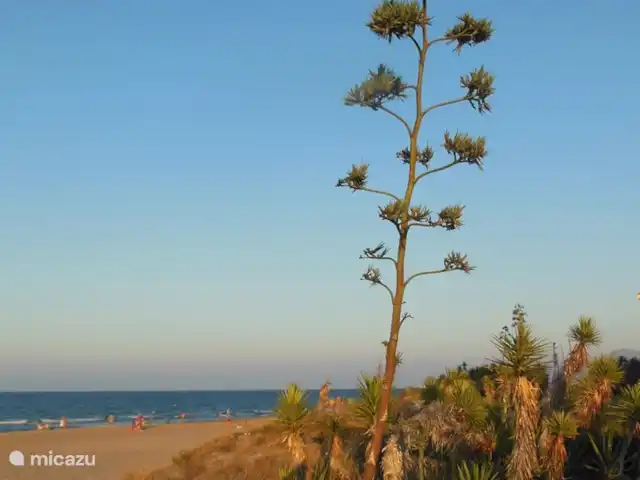 Casa 68 Montanas y el mar | Espagne, Costa Blanca, Adsubia - villa Plage de Rio Mar.