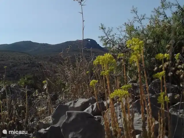 Casa 68 Montanas y el mar | Espagne, Costa Blanca, Adsubia - villa Zone montagneuse Vall de Galinera derrière Adsubia. En arrière-plan, vous pouvez voir La Penya Foradada (le rocher avec le trou).