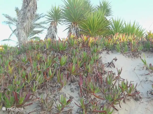 Casa 68 Montanas y el mar | Espagne, Costa Blanca, Adsubia - villa Plage de Rio Mar.