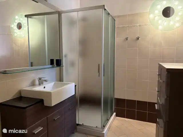 Casa Moia : Luxe, Piscine, Tranquillité ★★★★★ | Italie, Lacs italiens , Tavernola Bergamasca - maison de vacances Grand miroir et cabine de douche spacieuse
