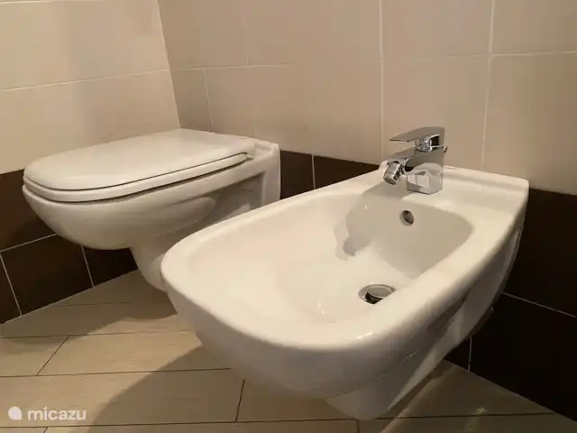 Casa Moia : Luxe, Piscine, Tranquillité ★★★★★ | Italie, Lacs italiens , Tavernola Bergamasca - maison de vacances Bidet et WC suspendu