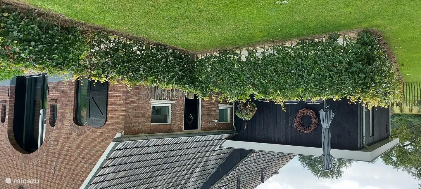 Terrasse mit 4 Stühlen und Sonnenschirm