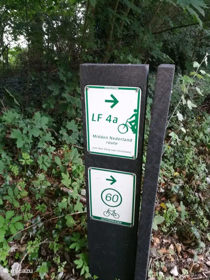 Foto von einer der Kreuzungen ca. 1,5 km von der Wohnung entfernt.