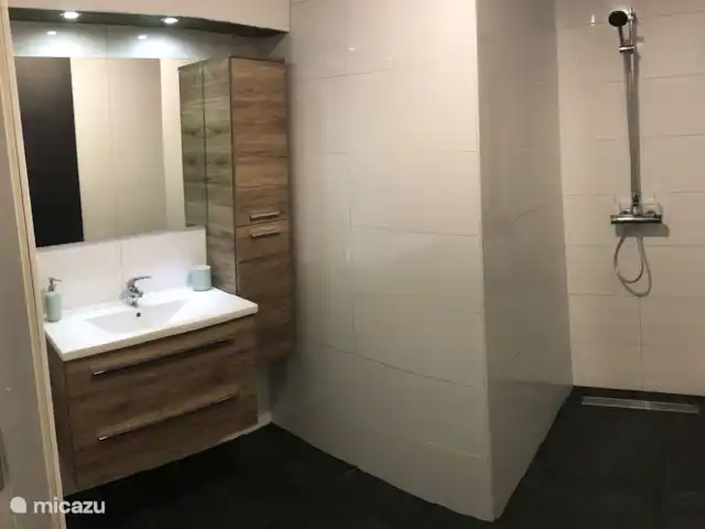 Scholekster huren in Nederland, Overijssel, Ommen - vakantiehuis Badkamer