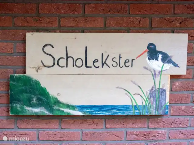 Scholekster huren in Nederland, Overijssel, Ommen - vakantiehuis
