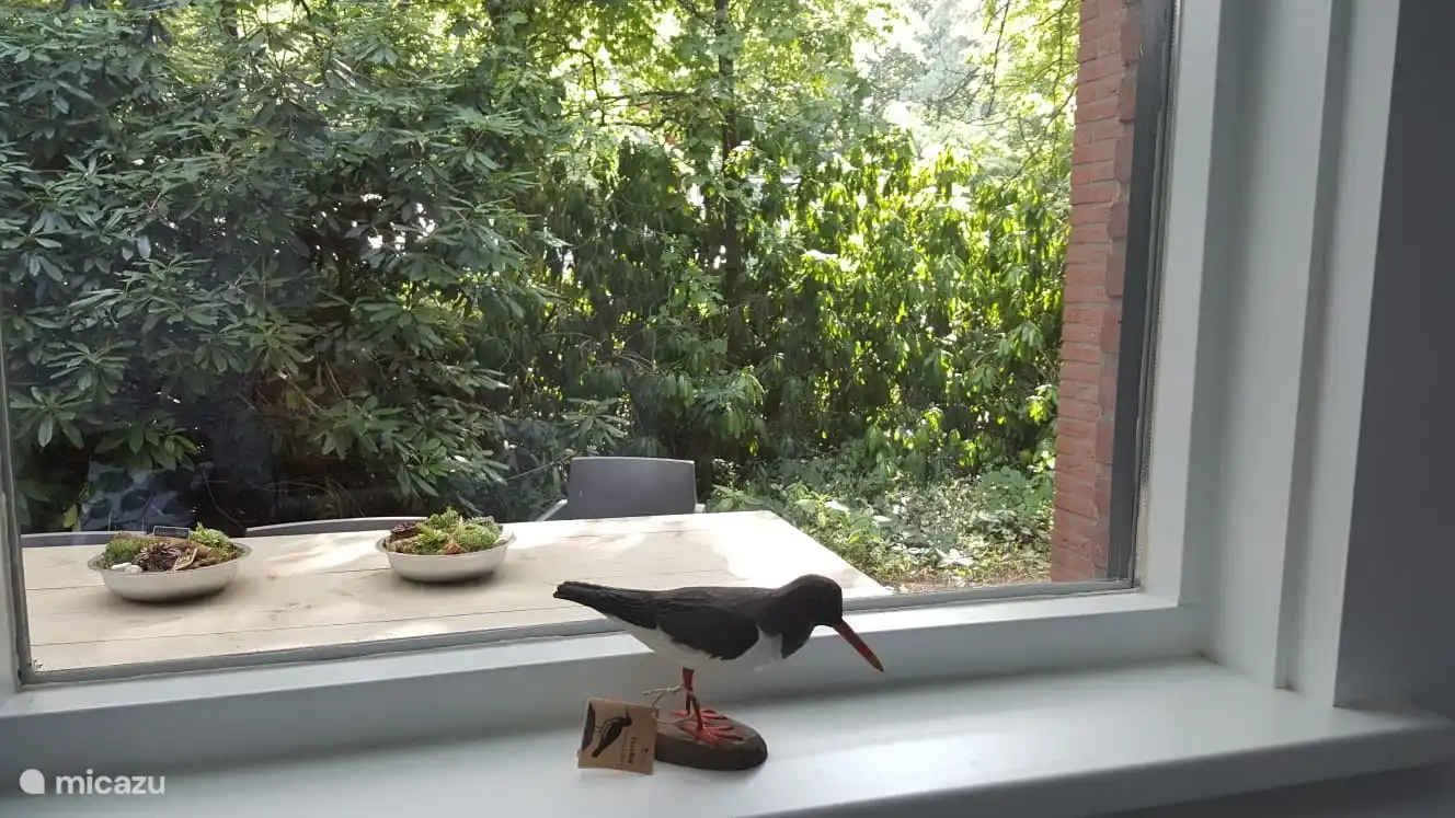 Foto richting overdekt terras aan zijkant van de bungalow