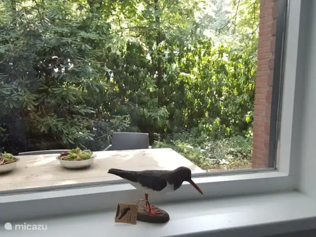 Scholekster huren in Nederland, Overijssel, Ommen - vakantiehuis Foto richting overdekt terras aan zijkant van de bungalow