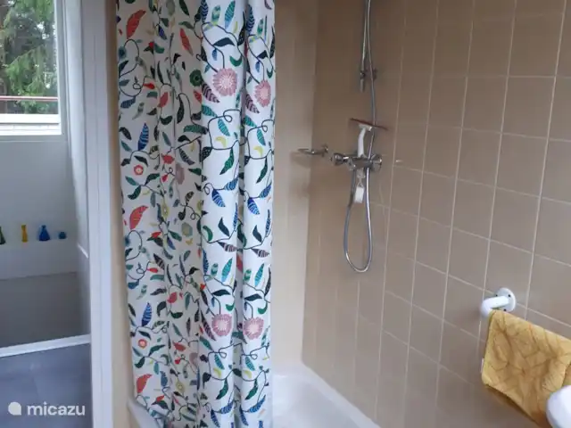 casa vacacional en Países Bajos, Güeldres, Halle – casa de vacaciones en el verde baño arriba