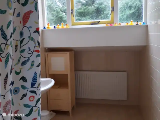 casa vacacional en Países Bajos, Güeldres, Halle – casa de vacaciones en el verde cuarto de baño con ventana abuhardillada arriba