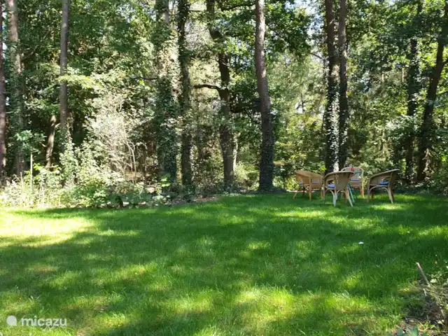 casa vacacional en Países Bajos, Güeldres, Halle – casa de vacaciones en el verde Encantador lugar sombreado en la parte trasera del jardín.