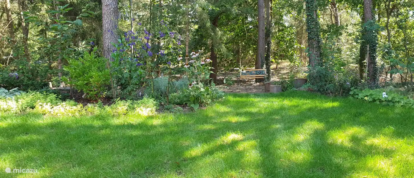 banco en la parte trasera del jardín donde todavía se puede disfrutar del sol de la tarde al final del día