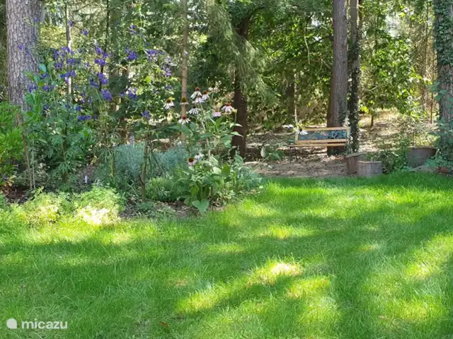 casa vacacional en Países Bajos, Güeldres, Halle – casa de vacaciones en el verde banco en la parte trasera del jardín donde todavía se puede disfrutar del sol de la tarde al final del día