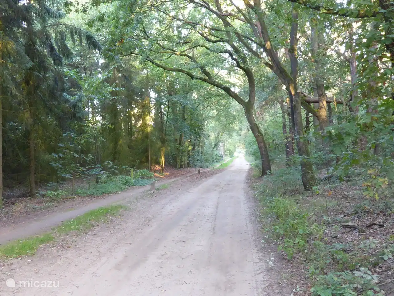 Deslízate desde el parque hacia el bosque con maravillosos senderos para caminar y andar en bicicleta.